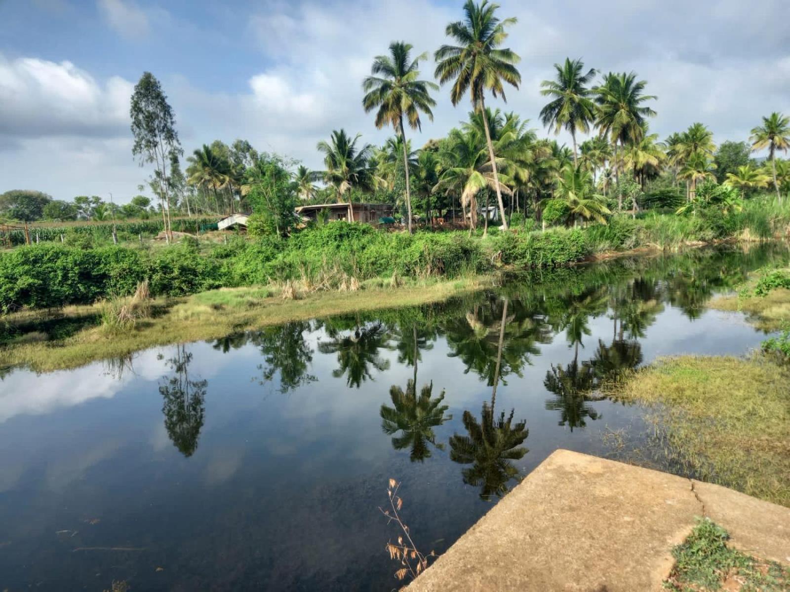 Hotel Wilderness Jungle Camp Malavalli Exterior foto