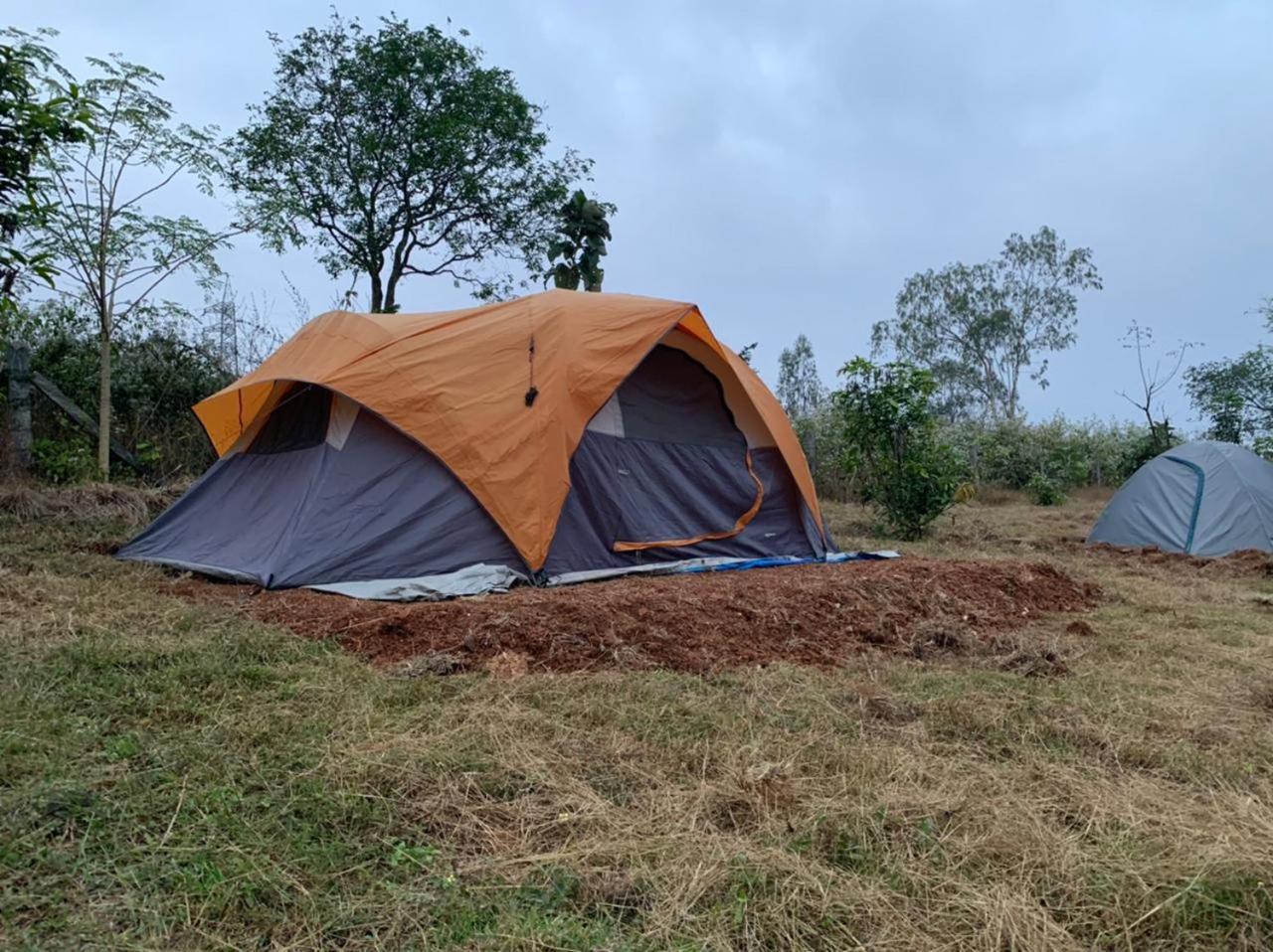 Hotel Wilderness Jungle Camp Malavalli Exterior foto